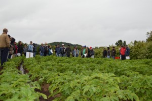 agricultores y profesionales de Traiguén en terreno, conociendo aspectos de riego para el cultivo de papa