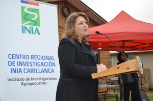 Andrea Parra, Gobernadora de Malleco
