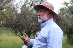 El autor principal del libro, Carlos Ovalle, ha estado involucrado toda su carrera de investigador a la agricultura del secano.