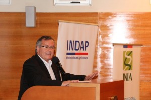 Andrés Castillo, director regional de INDAP Región del Biobío.