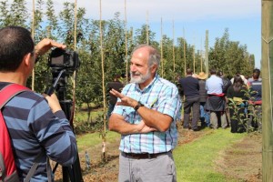Pablo Grau, investigador de INIA Quilamapu está a cargo del programa de mejoramiento genético de manzano.