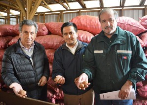 Desde la izquierda,  Rodrigo García, Seremi de Agricultura Región del Biobío; Rodrigo Avilés, Director Regional INIA Quilamapu; y Jaime Peña, Director Regional SAG Biobío.