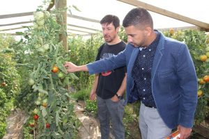 El trabajo de rescate y multiplicación de tomates nativos sudamericanos y europeos que realiza el investigador de INIA Gerardo Tapia, resultó de gran interés para el directivo colombiano.