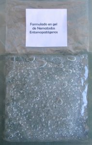Formulación de Nemátodos entomopatógenos como gel.